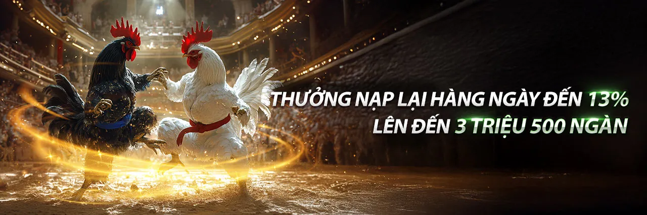 Đá gà trực tiếp Thomo kịch tính
